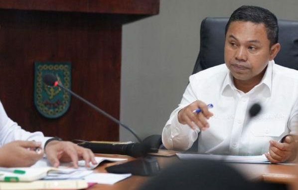 Gubri Akan Bentuk Tim Tata Kelola Perkebunan Kelapa