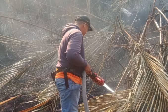 Kepulauan Meranti Siaga Karhutla