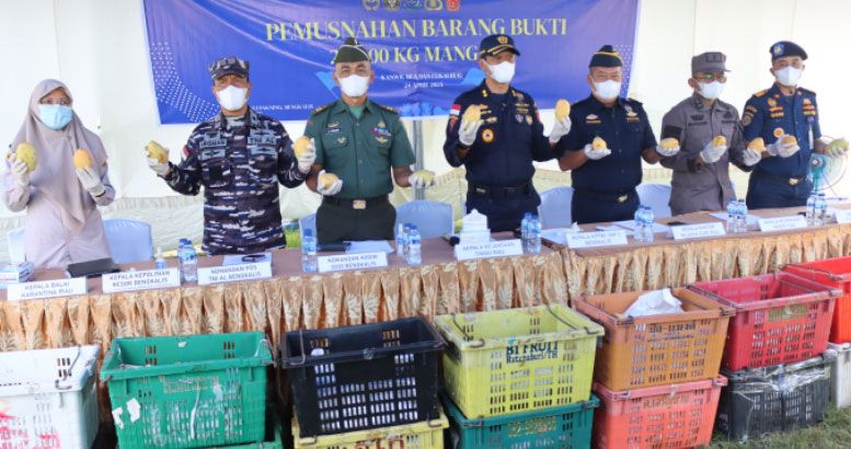 BC Bengkalis Gagalkan Penyelundupan 28 Ton Buah Ilegal Asal Thailand
