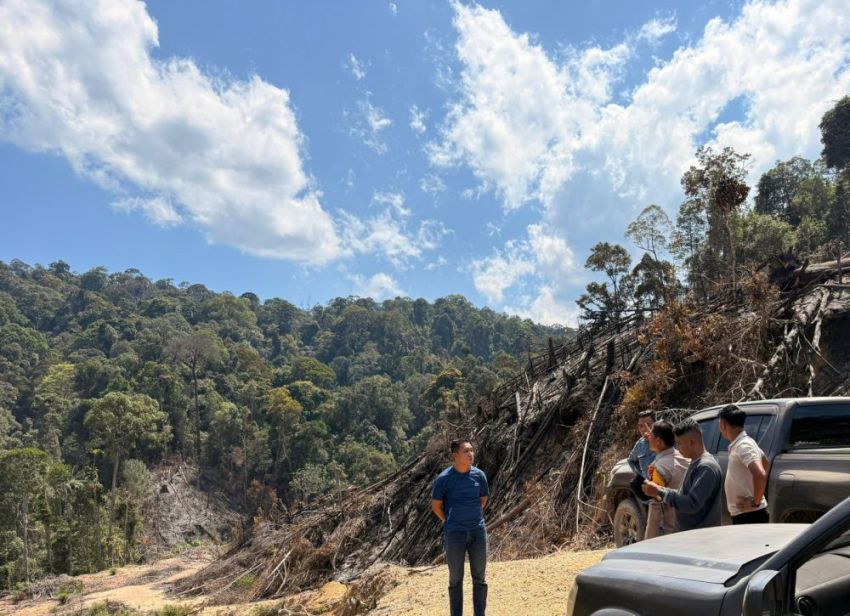 Bakar Lahan dalam HPT untuk Tanam Sawit, 3 Pria di Rohul Diamankan Polisi