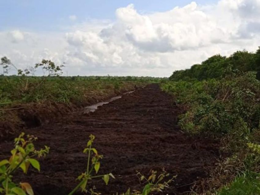 Sejumlah Warga Abaikan Kesepakatan Tapal Batas Kecamatan Batang Tuaka dan GAS