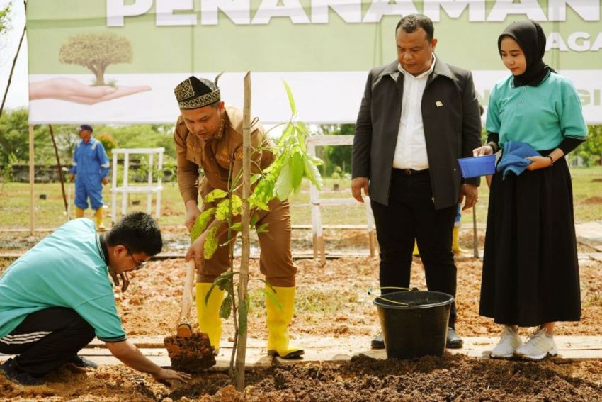 Gubernur Wahid Tanam Pohon di Rohil, Cerminan Jati Diri Melayu