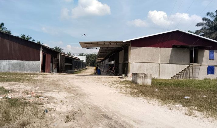 Ribuan Lalat Serbu Rumah Warga, Minta Walikota Agung Tindak Tegas Pemilik Kandang Ayam