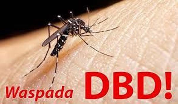 Waspada, 17 Warga Riau Meninggal Akibat DBD