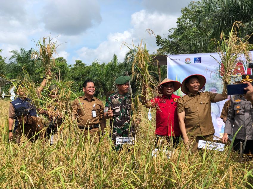 Padi dan Jagung Solusi Ketahanan Pangan, Pemko Pekanbaru Maksimalkan Lahan Tidur