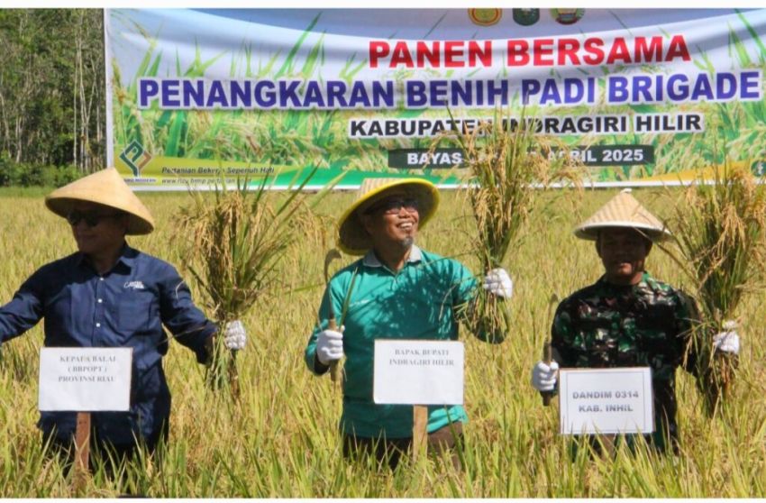 Dukung Astacita, Pj.Sekda Inhil Laksanakan Tanam Serentak dan Panen Raya Padi di Desa Bayas Jaya