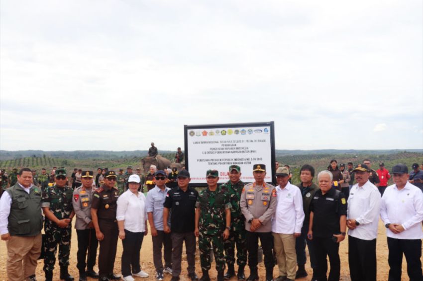 81 Ribu Hektare Lahan Ilegal di TNTN Harus Dikosongkan dalam Tempo 3 Bulan!