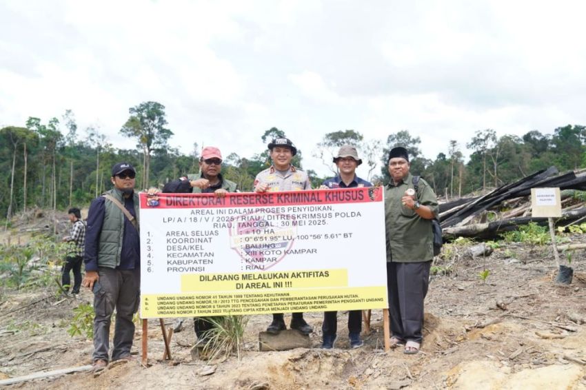 Ninik Mamak Perambah Hutan Ditangkap, Ini Sikap LAMR