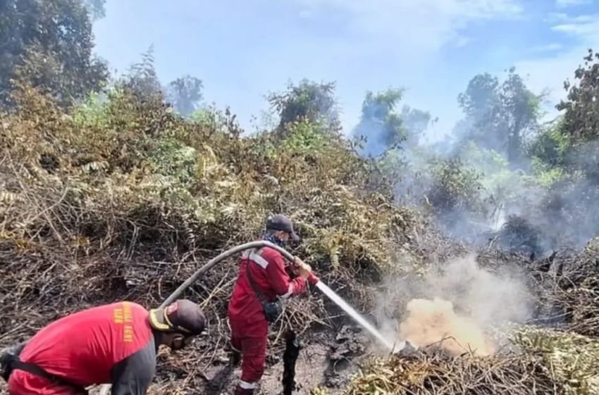 Hari Keempat Pemadaman 30 Hektare Karhutla di Tapung, Pekanbaru Mulai Berasap