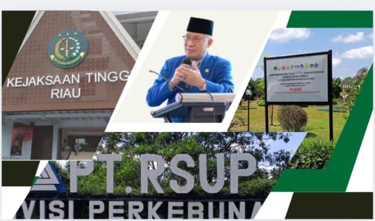 Kisruh Plang Satgas PKH di PT. RSUP Inhil Menyulut Perhatian, Wilson Lalengke Tantang Buka Data