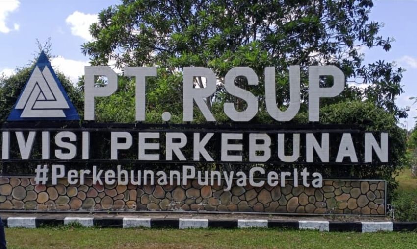 Kejati Riau Pastikan 237 Ha Lahan PT. RSUP Masuk Kawasan Hutan