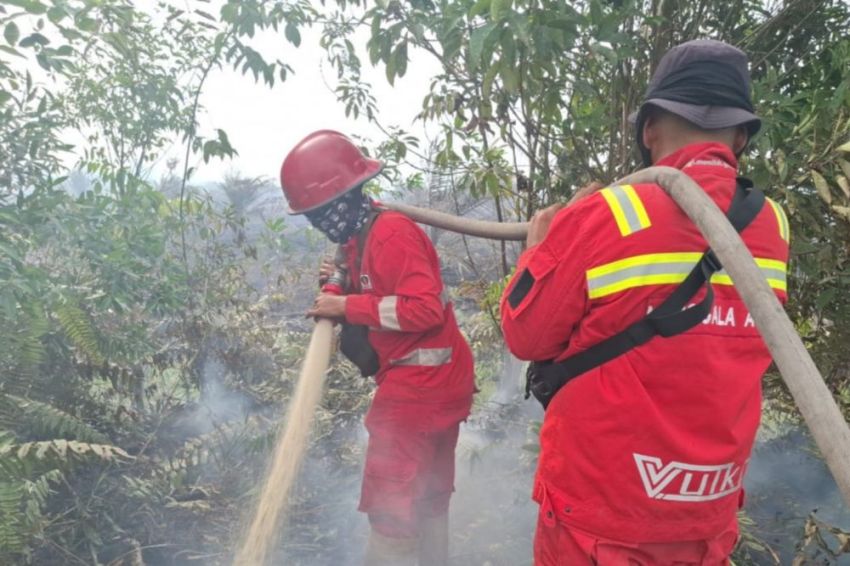 Hotspot Riau Turun Drastis, Dari 586 ke 4 Titik