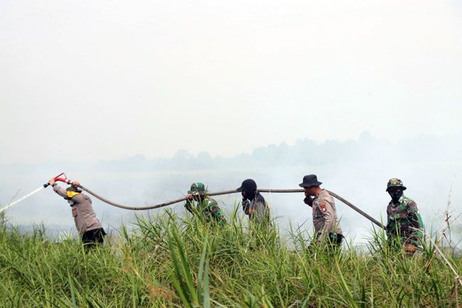 Tinjau Lokasi Karhutla di Desa Bangko Permata, Kapolres Rohil Turun Tangan Padamkan Api