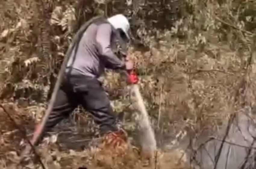 7 Hektare Lahan Gambut di Rimbo Panjang Terbakar, Pemilik Belum Diketahui