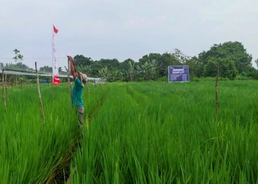 Mentan Dorong Hilirisasi dan Pengembangan Lahan Riau