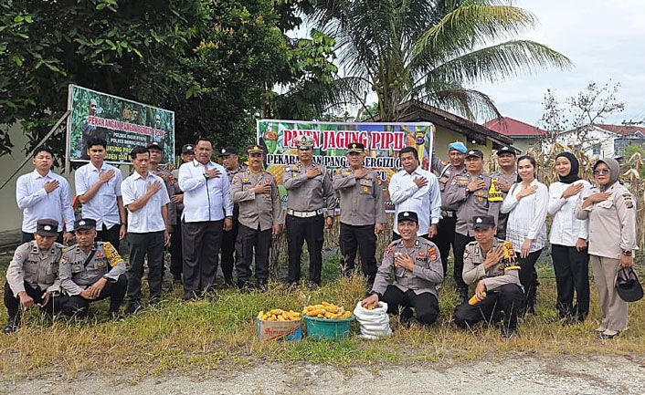 Jagung dari Pekarangan Mapolsek Pasir Penyu Wujudkan Ketahanan Pangan Lewat Program P2B