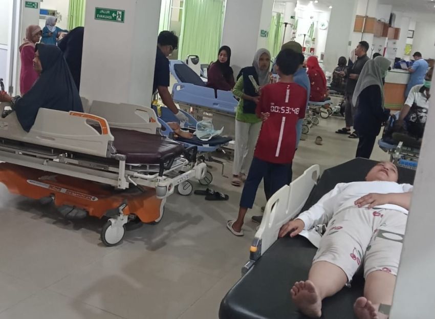 Korban Serangan Anjing Liar di Tenayan Raya Bertambah, Balita 3 Tahun Digigit di Leher