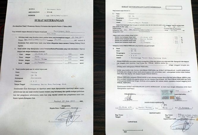 Diduga Beredar SKT Kades Merempam Hulu Di Lahan PT SSL