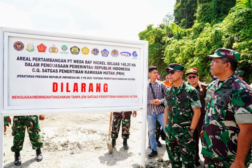 Bukan Serampangan, Semua Tahapan Penertiban Kawasan Hutan Terukur dan Terkoordinasi