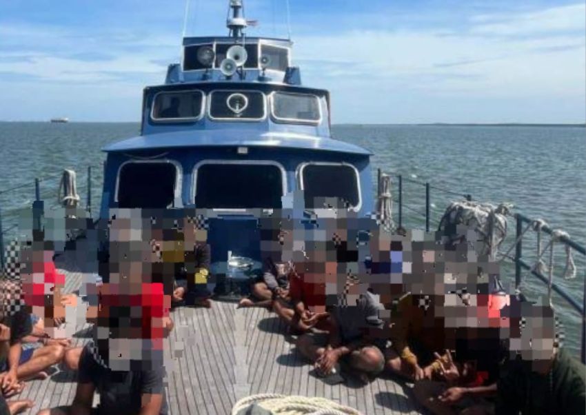 Pengiriman PMI Ilegal dan Ribuan Batang Kayu ke Port Klang Malaysia Digagalkan