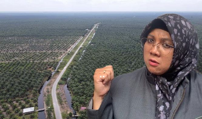 Sejak Awal Izinnya Manipulatif, Pemerintah Didesak Cabut Izin PT SSL