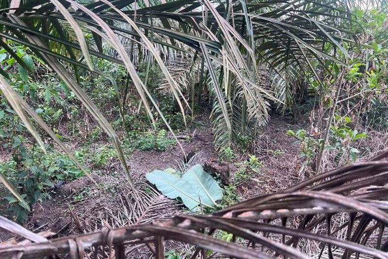 Warga Temukan Mayat Bayi dalam Kantong Plastik di Kampar dengan Luka Gigitan Hewan