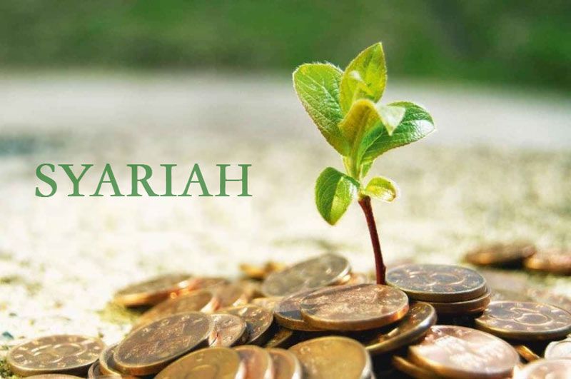 Aset Keuangan Syariah Nasional Lampaui Rp3.000 Triliun