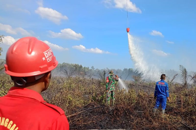 Operasi Gabungan Darat-Udara di Riau Dilakukan untuk Pemadaman Karhutla di Tujuh Daerah