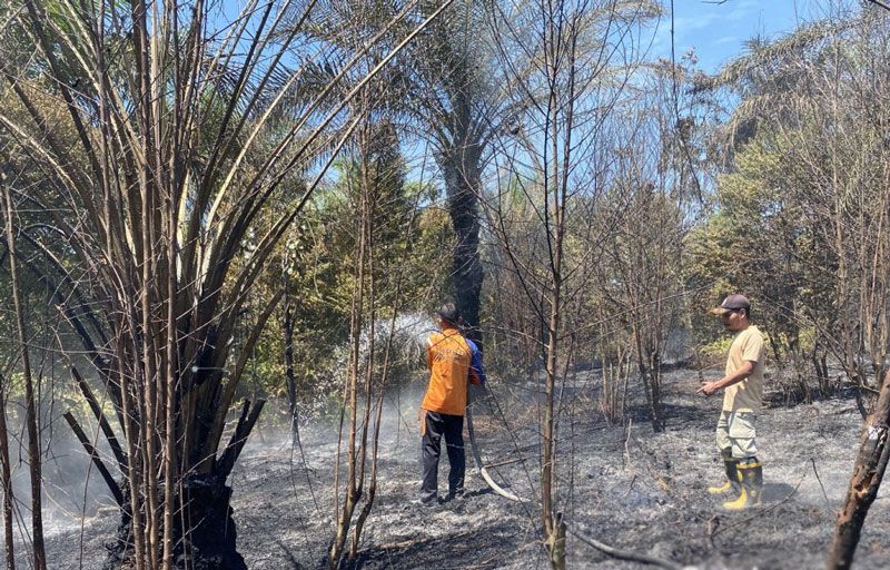 Pekanbaru Panas Bedengkang,  BPBD Berjibaku Padamkan Kebakaran Lahan