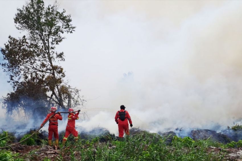 Karhutla Riau Berkurang Drastis, Pemadaman Fokus di Tiga Daerah Ini