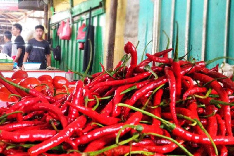 Harga Cabai Melonjak Tinggi Rp150 Ribu per Kilogram