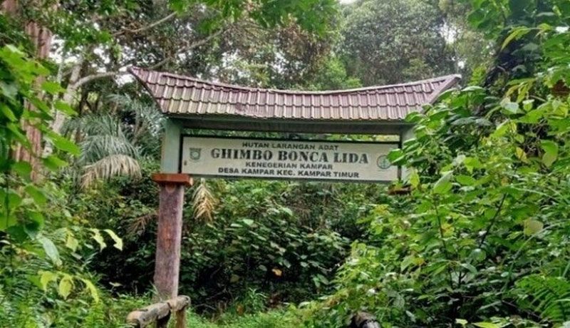 Pengakuan Hutan Adat Kunci Kurangi Deforestasi