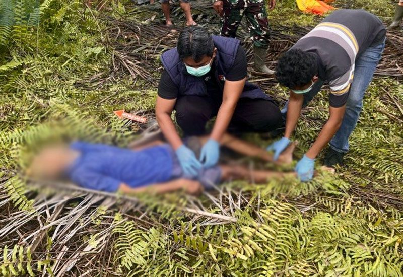Kabur Usai Ambil Brondolan, Warga Inhu Ditemukan Tewas Tergeletak di Perkebunan Sawit