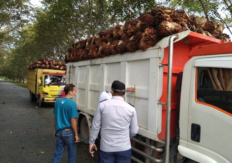 Truk Sawit dan ODOL di Siak Dilarang Melintasi Jalan Ramai Pelajar