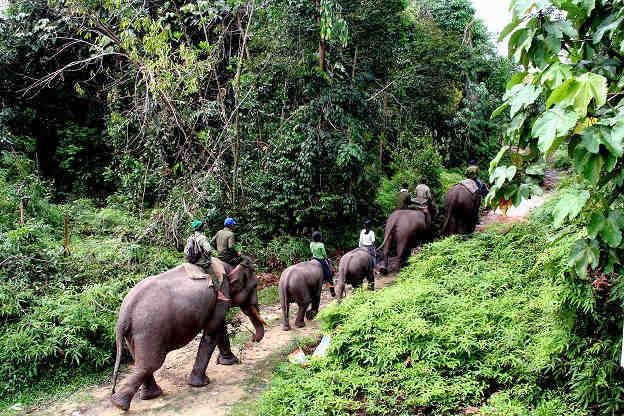 Penanganan TNTN Butuh Dukungan Bersama