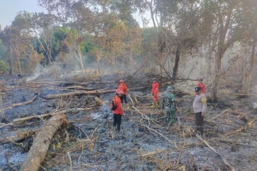 Petugas Gabungan Padamkan Karhutla di Tiga Kabupaten di Riau
