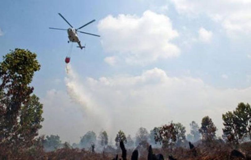 BPBD Riau Dorong Kabupaten dan Kota Segera Tetapkan Status Siaga Darurat Karhutla