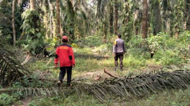 Antisipasi Karhutla, Personel Polsek Kandis Patroli Areal 1000 Dusun Gajah