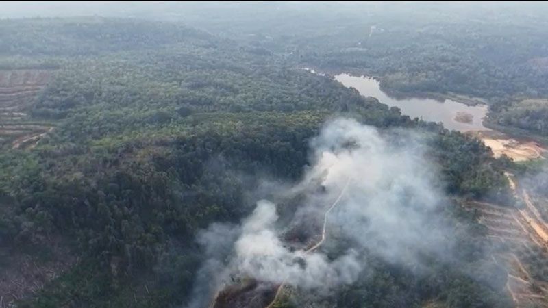 Sejak Awal Tahun, 10 Daerah di Riau Dilanda Karhutla