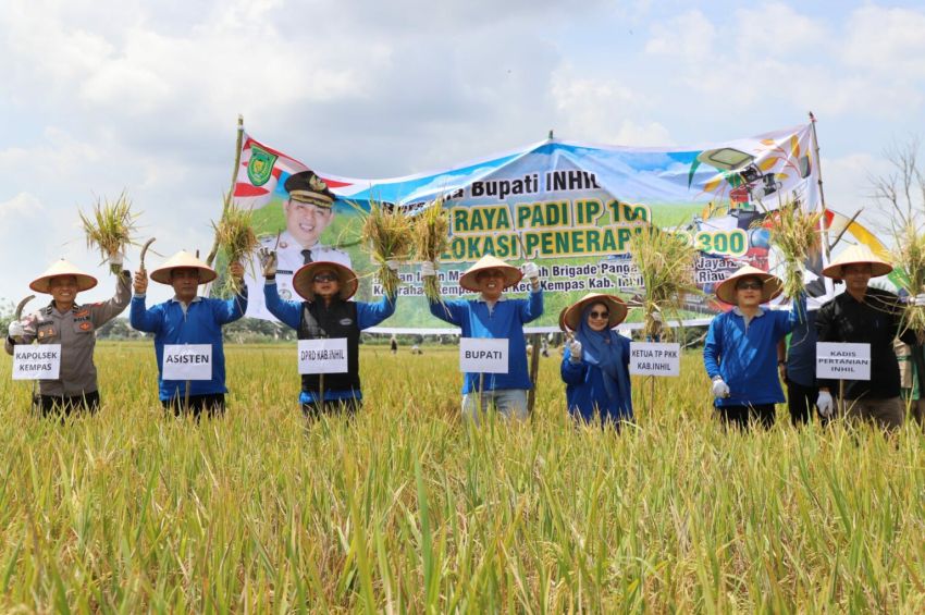 Bupati Inhil Panen Raya Padi Perdana IP 100 di Kempas, Pastikan Keberpihakan di Sektor pertanian