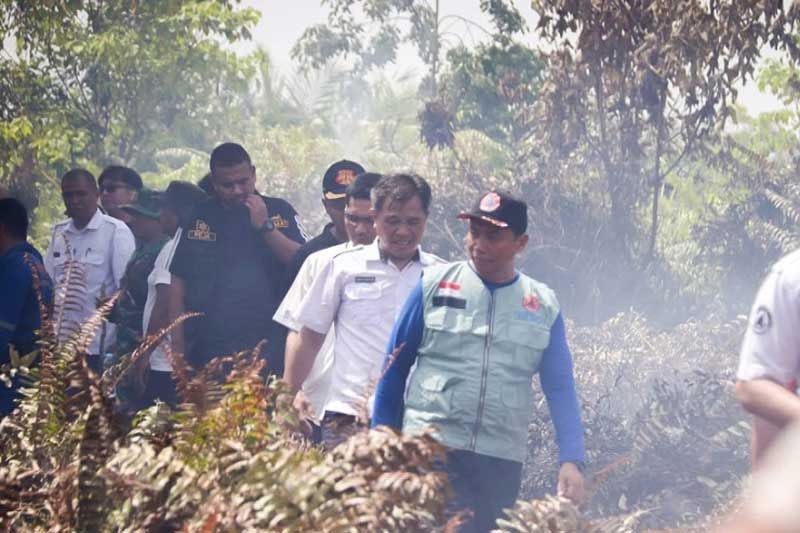 Sejak Januari, Sudah 11,53 hektare Lahan di Pekanbaru Terbakar, Kecamatan Payung Sekaki Terbanyak