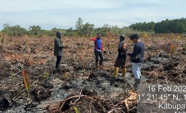 Warga Bengkalis Bakar 3 Hektare Lahan, Alasannya Ada Tawon