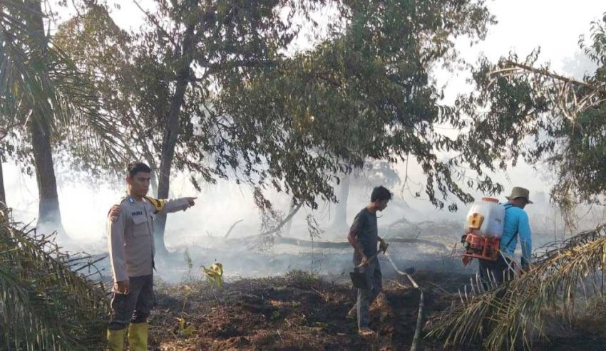 Tim Gabungan Padamkan Karhutla di Areal Gambut di Siak