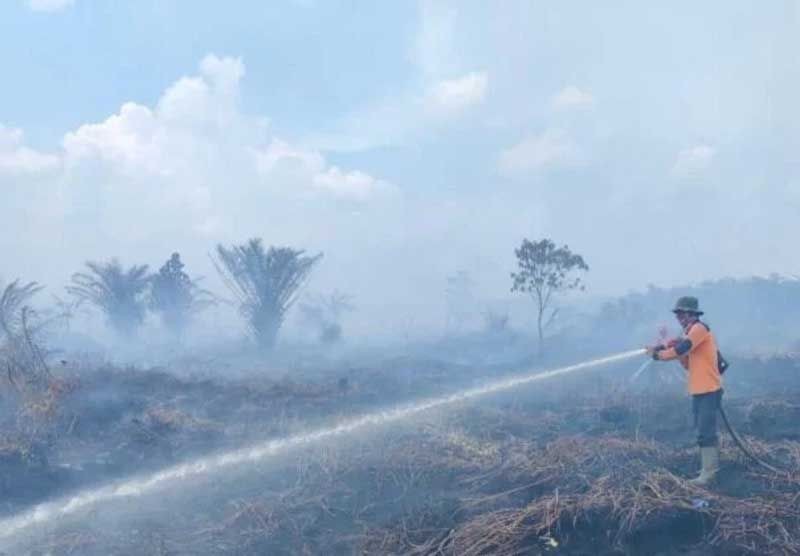 Karhutla Terjadi di 10 Kabupaten dan Kota, BPBD Riau Minta Daerah Siapkan Langkah Antisipatif
