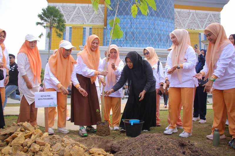 DWP Pekanbaru Tanam 2.000 Bibit Pohon