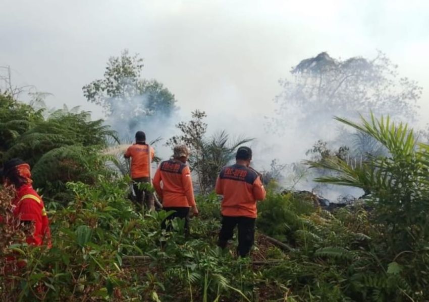 Tim Gabungan Sudah Lima Hari Berjibaku Padamkan Karhutla di Pelalawan