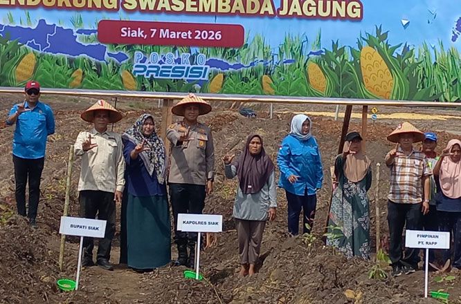 Kolaborasi Polres Siak dan PT RAPP Tanam Jagung, Dukung Swasembada Pangan Nasional