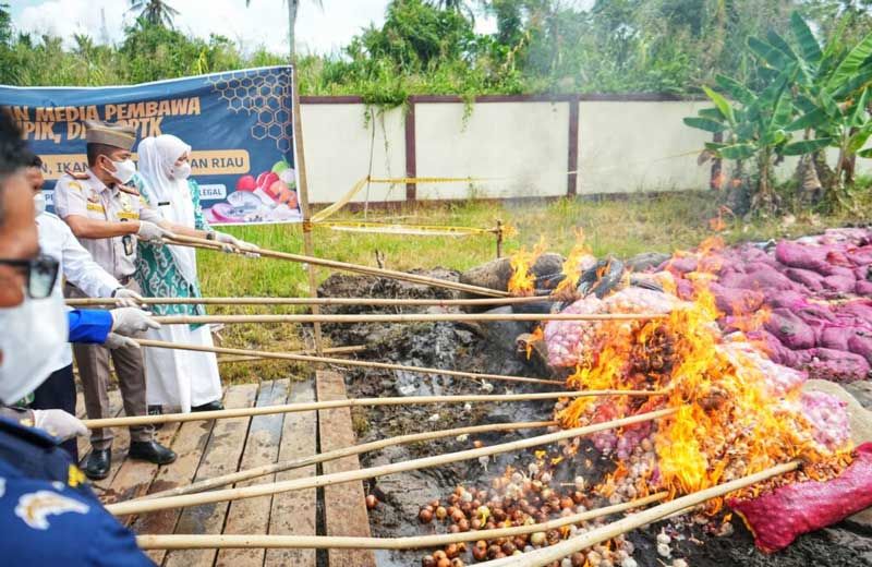 Wabup Inhil Musnahkan 48,39 Ton Pangan Ilegal di Inhil, Tegaskan Kepatuhan Karantina