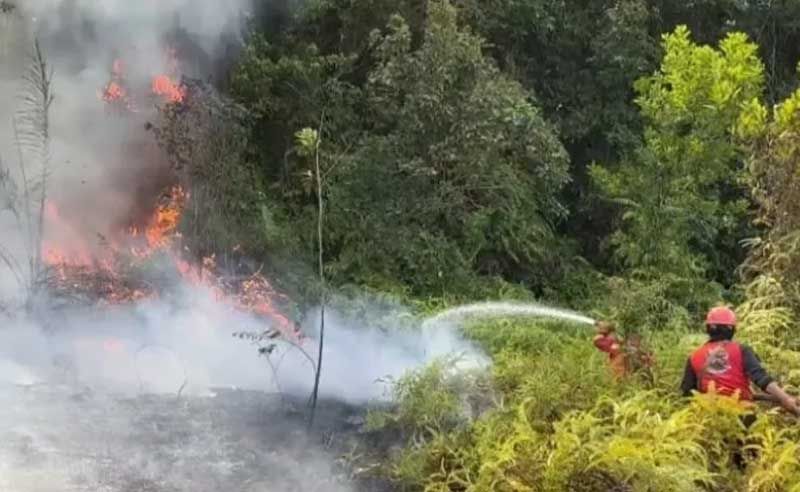 Hadapi Fenomena Godzilla El Nino, BPBD Pekanbaru Tingkatkan Kapasitas Personel TRC