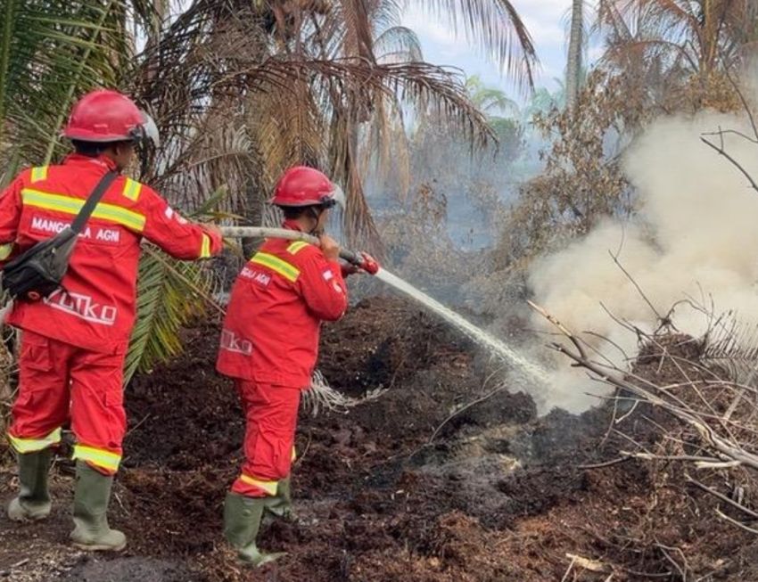 Tim Manggala Agni Berjibaku Padamkan Karhutla di Palika dan Kandis